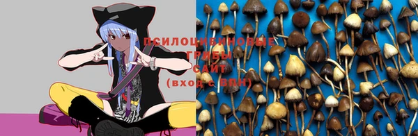 круглые Магадан