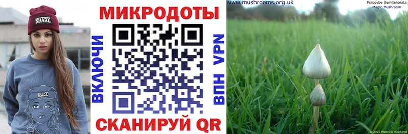 Галлюциногенные грибы мухоморы  Всеволожск 