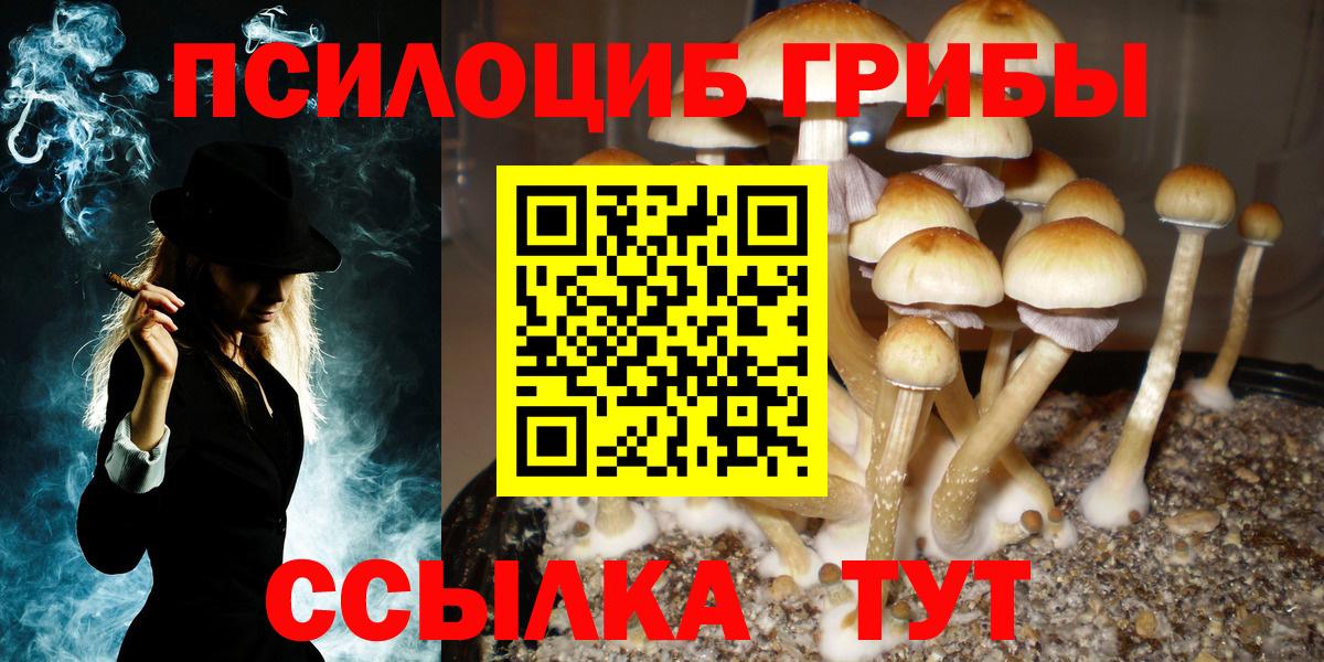 Псилоцибиновые грибы Magic Shrooms Всеволожск