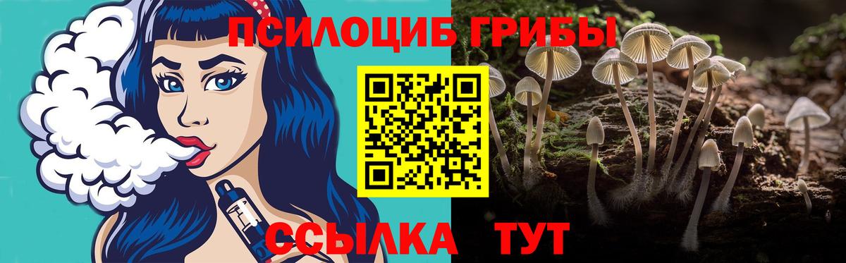 Псилоцибиновые грибы GOLDEN TEACHER  Вход с VPN  Всеволожск 