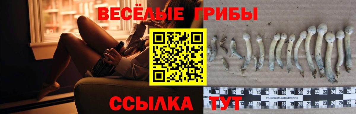 Псилоцибиновые грибы прущие грибы  Всеволожск 